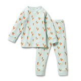 Cute Carrots Organic long sleeved Pyjamas